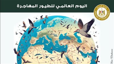 مصر تشارك في الاحتفال باليوم العالمي للطيور المهاجرة