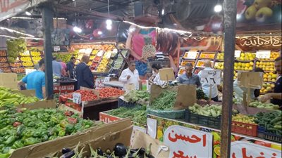 محافظ الدقهلية يتفقد منافذ بيع الخضار والفاكهة (صور)