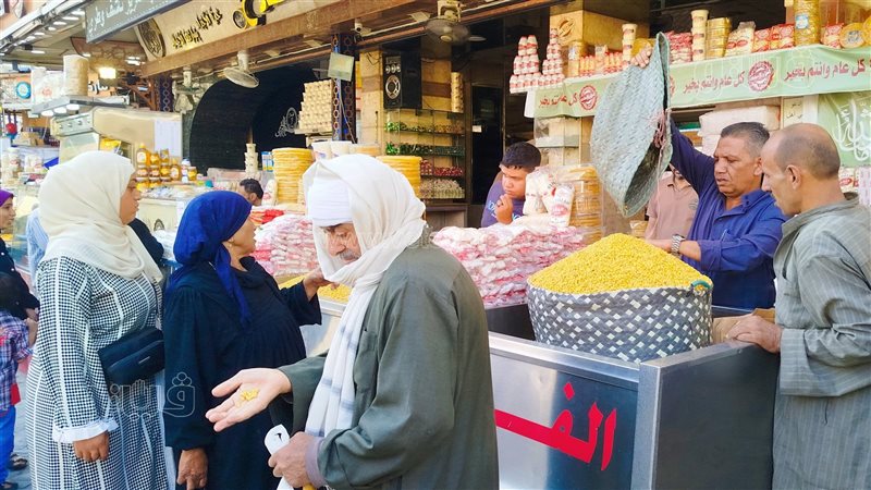 زوار مولد البدوى