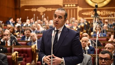 وزير الشئون النيابية يرد على تخوفات الشيوخ فى حبس الأطباء 