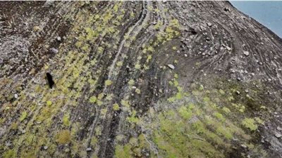 حكاية الدب التائه بأرض قاحلة في كولومبيا (فيديو)