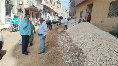 تقليم الأشجار ورصف الطرق بالإنترلوك في الحسينية بالشرقية 