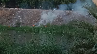 رصد وتحرير 8 محاضر لحارقي المخلفات الزراعية بمركز أسيوط