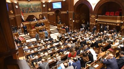 وكيل الشيوخ يطالب بلجنة فنية لتفعيل استحقاقات التعليم في الدستور 