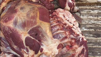 ضبط 7 أطنان لحوم ودواجن فاسدة ومجهولة المصدر بالجيزة (صور)