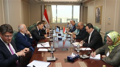 عصمت: مشروع الربط الكهربائى مع اليونان نموذجا لتأمين التغذية وتبادل الطاقة