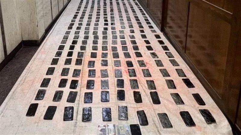 العناصر الإجرامية