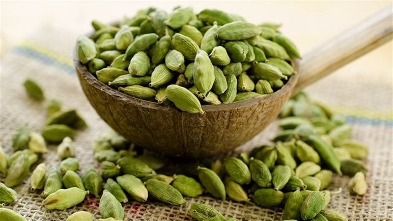 الحبهان