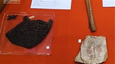 المتحف المصري بالتحرير يعرض مروحة ولفائف لمومياء حيوان نادرة (صور)