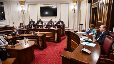  في مقدمتها أزمة الأدوية، تفاصيل خطة عمل صحة الشيوخ بدور الانعقاد الخامس