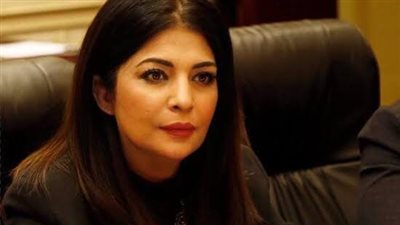 طلب إحاطة لوزير الثقافة بشأن أزمة إزالة المسرح العائم 