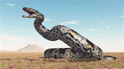 وزنه طن وطولة 16 مترا، اكتشاف بقايا ثعبان عملاق في الهند (صور)