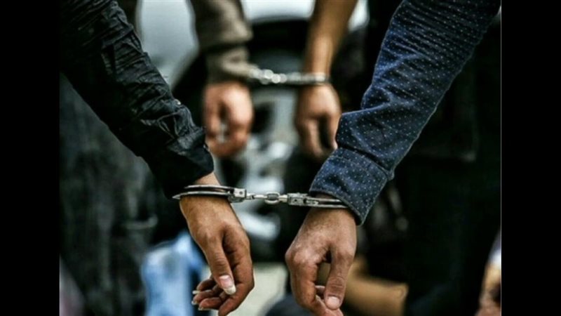 ضبط 4 عناصر إجرامية