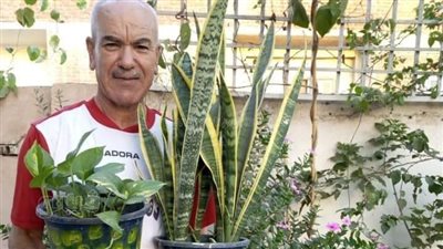 السطح مش للكراكيب، مواطن بالغربية يطلق مبادرة لزراعة أسطح المنازل