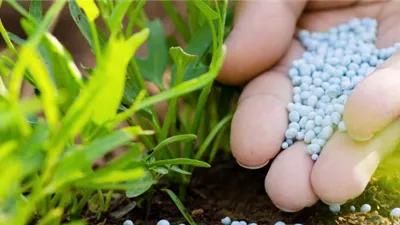 طن اليوريا العادي يرتفع 2572.6 جنيه، تحركات جديدة في أسعار الأسمدة بالأسواق