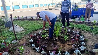 الإسماعيلية تتزين احتفالا بعيدها القومي الـ 73 (صور) 