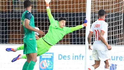 استبعاد الجزيري وضم المثلوثي، قائمة منتخب تونس لتصفيات أمم إفريقيا 