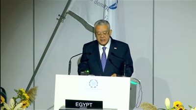 رئيس النواب: مستمرون بحمل لواء استقلال الشعوب وفي مقدمتها القضية الفلسطينية