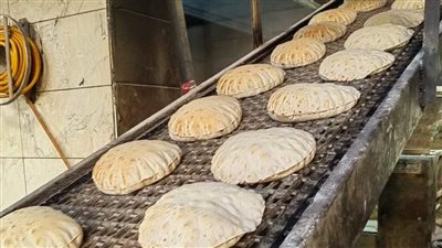 تحرير 23 محضرا لمخالفات متنوعة في المخابز بالعياط