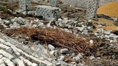 إزالة 7 حالات تعد على الأراضي الزراعية بمركزي الفيوم وسنورس