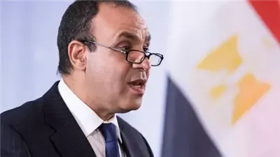 وزير الخارجية: إرسال طائرة مساعدات مصرية إلى لبنان 