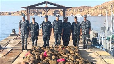 القوات البحرية تحبط محاولة تهريب كميات من المواد المخدرة داخل البلاد