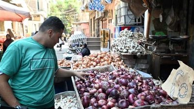 قفزة في أسعار البصل بالأسواق، تعرف على التفاصيل