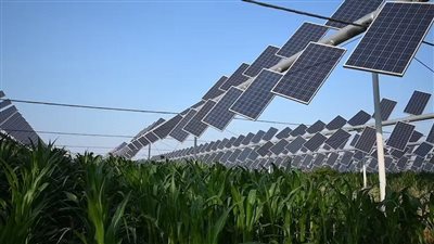 دار الإفتاء توضح مقدار زكاة الزرع المسقى بالطاقة الشمسية