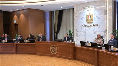 7 قرارات عاجلة لرئيس الوزراء 