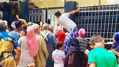 مولد شيخ العرب، 