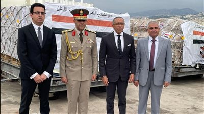 وصول شحنة مساعدات مصرية جديدة إلى لبنان وإعادة 304 مواطنين لأرض الوطن