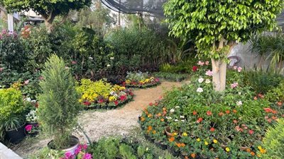 كل ما تريد معرفته عن معرض زهور الخريف الدولي بالزمالك.. استمرار حجز التذاكر حتى 10 نوفمبر.. عرض نباتات نادرة وتنظيم ورش عمل ومحاضرات وأنشطة ترفيهية (صور)