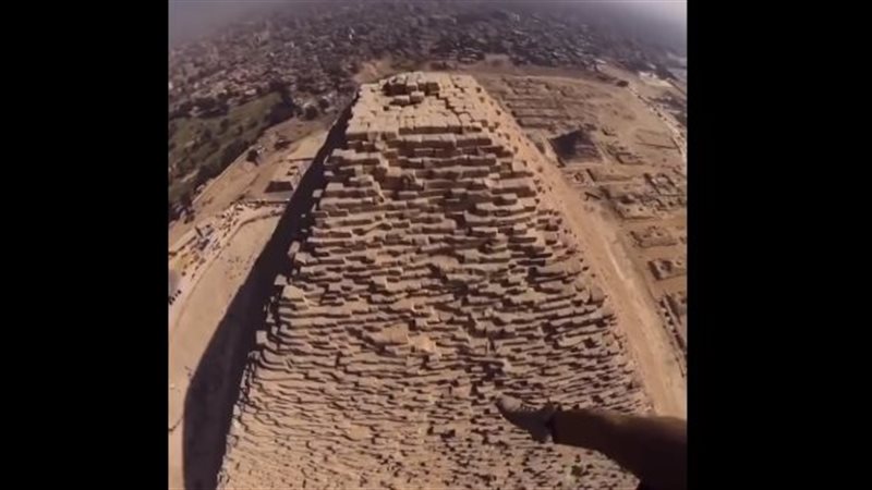 اختفاء صادم للكلب