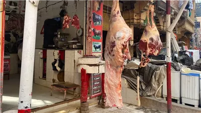 انخفاض أسعار اللحوم الكندوز في الأسواق