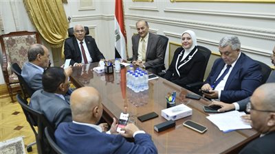 طاقة الشيوخ توافق على خطة عمل دور الانعقاد الخامس