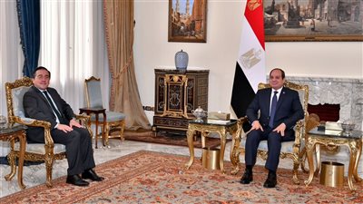توافق مصري إسباني على أهمية وقف التصعيد والتوصل إلى تهدئة شاملة للأوضاع في غزة ولبنان
