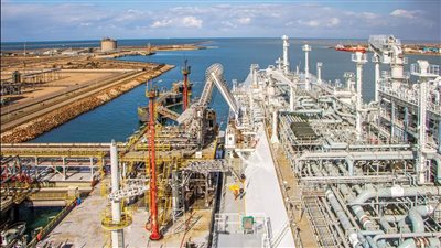 ميناء دمياط يستقبل 35 سفينة