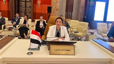 ياسمين فؤاد: نؤكد حق الشعب الفلسطيني في الوصول للموارد الطبيعية