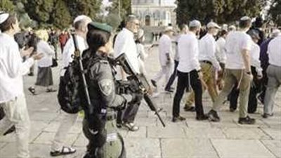  1066 مستوطنا يقتحمون المسجد الأقصى (فيديو)