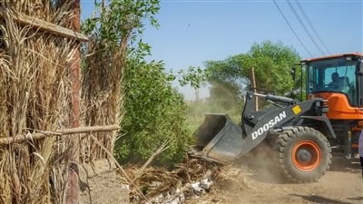 إزالة 5 حالات تعدٍ على الأراضي شمال الأقصر (صور)