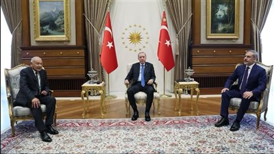  أبو الغيط يلتقى أردوغان ويؤكد تقديره لمواقف أنقرة الداعمة لفلسطين ولبنان