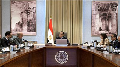 رئيس الوزراء يلتقي وفد شركة فورتيسكيو العالمية