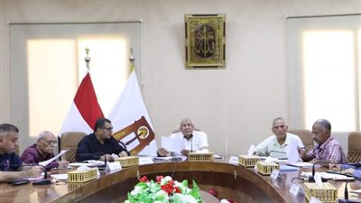 محافظ الوادي الجديد: خطة زمنية للانتهاء من حالات التقنين والتصالح