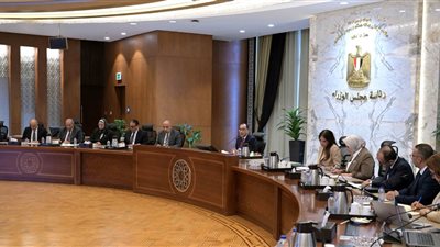 رئيس الوزراء يتابع الموقف التنفيذي لمشروع الربط الكهربائي المصري - السعودي