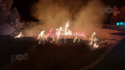 النار وصلت إلى عنان السماء، حريق هائل قرب الخزان الجديد في إسنا جنوب الأقصر (فيديو وصور)