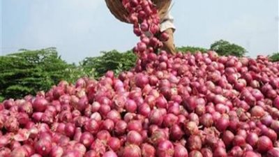 بعد ارتفاع سعره، تعرف على أسعار البصل في الأسواق