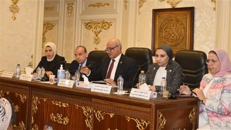 مناقشة إنشاء المجلس