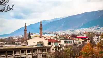 تركيا تحقق في صورة 