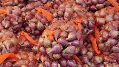 شعبة الخضروات تحذر من ارتفاع كبير في أسعار البصل الفترة المقبلة وتكشف الأسباب