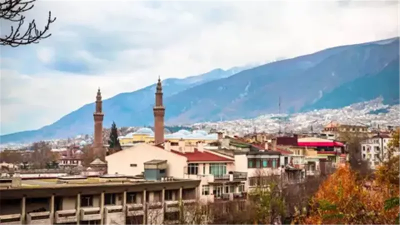 بورصة تركيا، فيتو